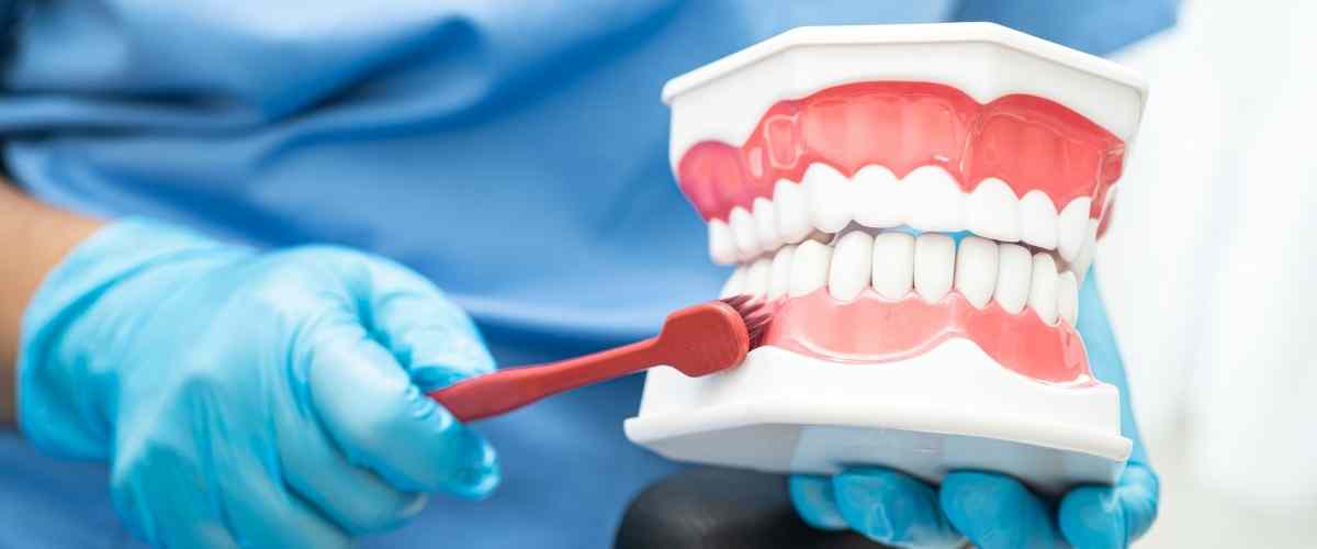 Healthy Gums: Your Guide to a Stronger Smile with Aqua Dental Care in Etobicoke